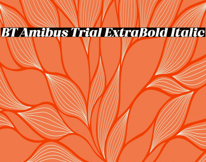 BT Amibus Trial ExtraBold Italic Example 3