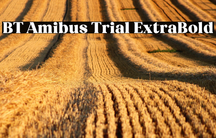 BT Amibus Trial ExtraBold Example 2
