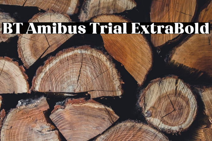 BT Amibus Trial ExtraBold Example 3