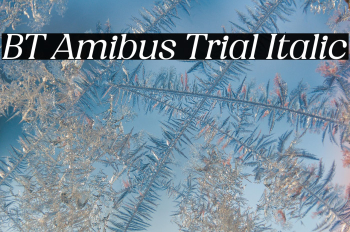 BT Amibus Trial Italic Example 1