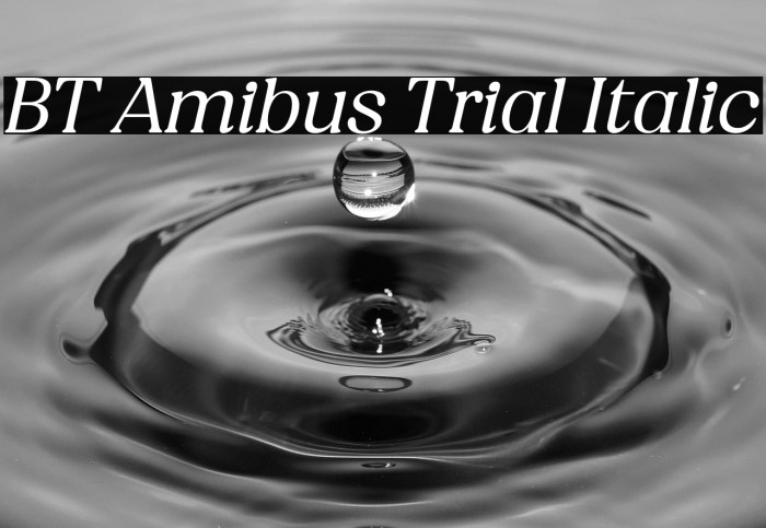 BT Amibus Trial Italic Example 2