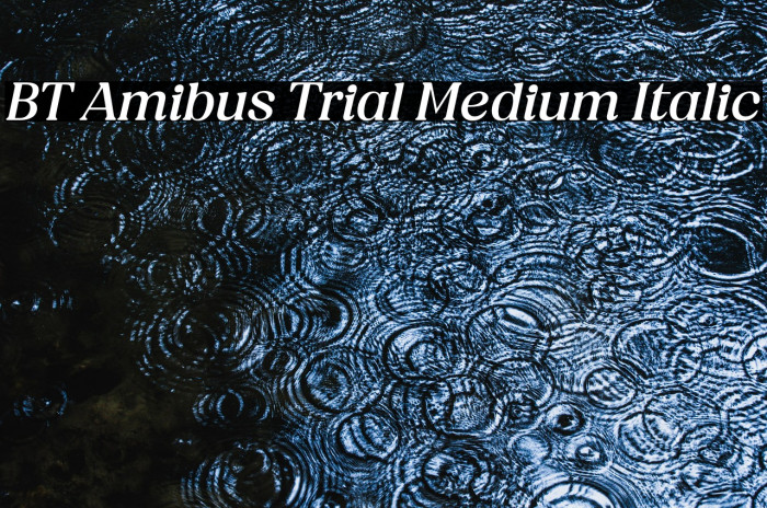 BT Amibus Trial Medium Italic Example 1