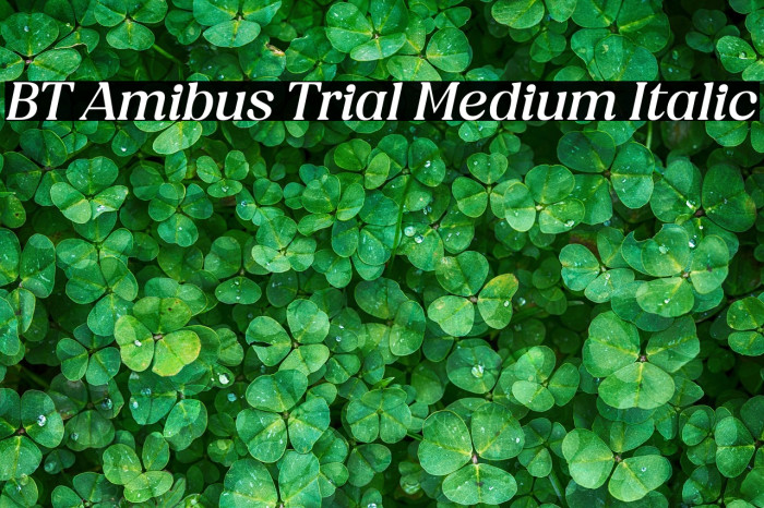BT Amibus Trial Medium Italic Example 2