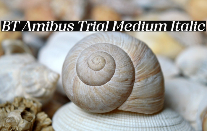 BT Amibus Trial Medium Italic Example 3