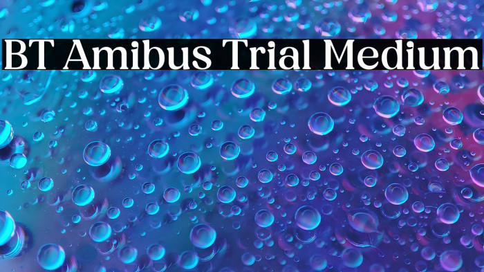 BT Amibus Trial Medium Example 1