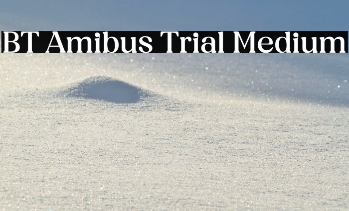 BT Amibus Trial Medium Example 2