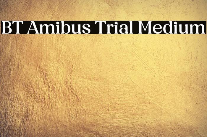 BT Amibus Trial Medium Example 3