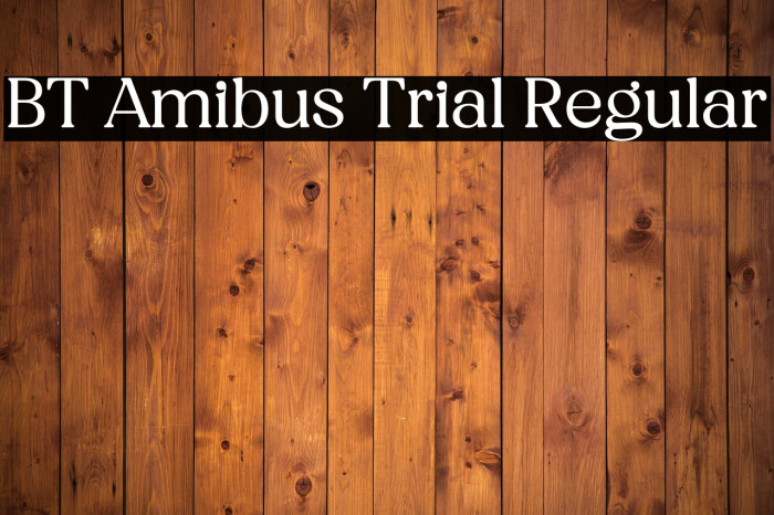 BT Amibus Trial Regular Example 1