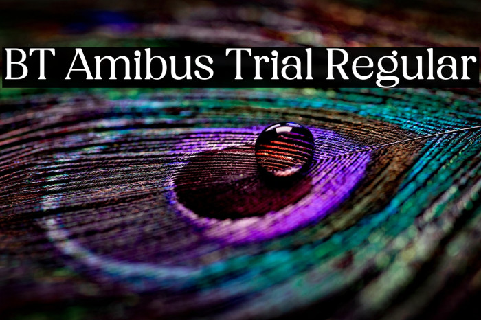 BT Amibus Trial Regular Example 2