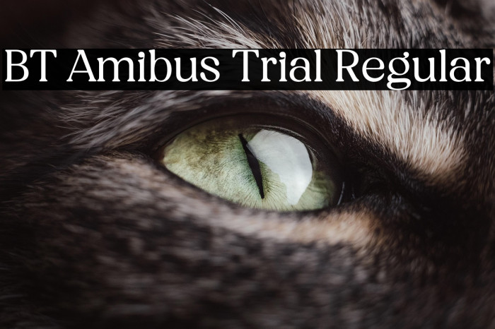 BT Amibus Trial Regular Example 3