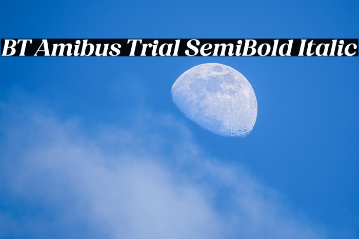 BT Amibus Trial SemiBold Italic Example 3
