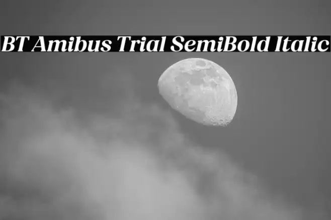 BT Amibus Trial SemiBold Italic Font examples