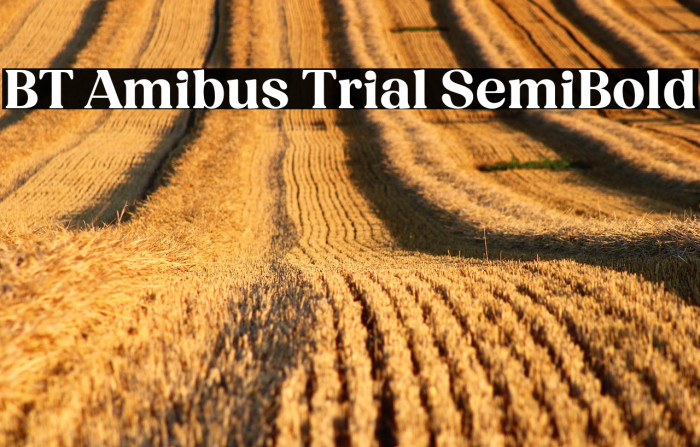 BT Amibus Trial SemiBold Example 1