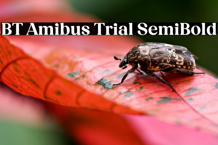 BT Amibus Trial SemiBold Example 3