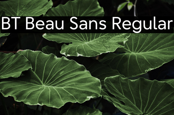 BT Beau Sans Regular Example 1