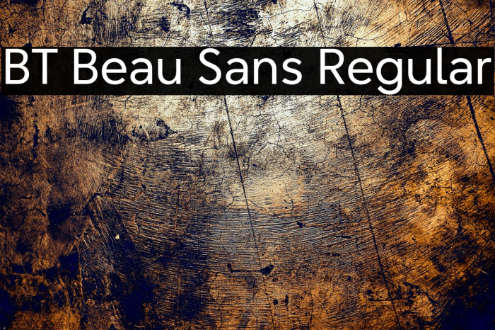BT Beau Sans Regular Example 2