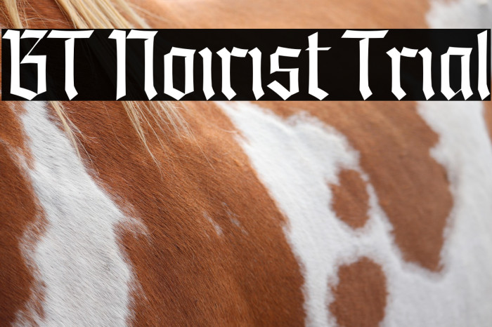 BT Noirist Trial Example 1