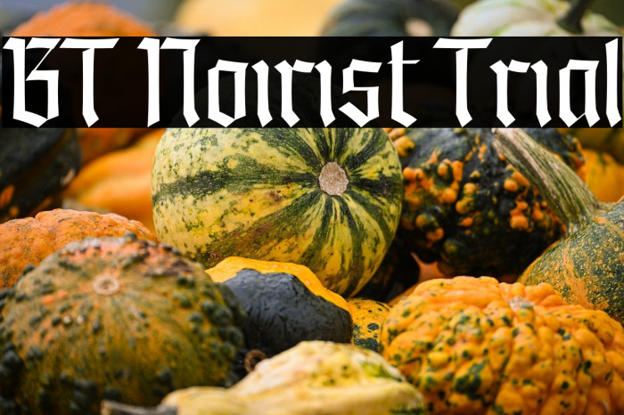 BT Noirist Trial Example 2