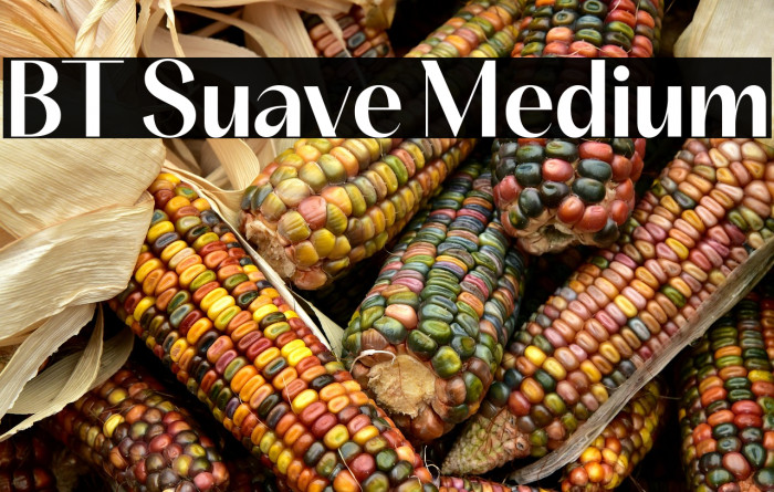 BT Suave Medium Example 1