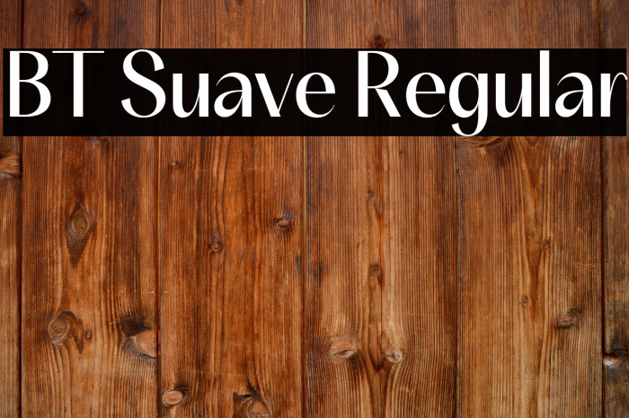 BT Suave Regular Example 1