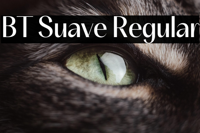 BT Suave Regular Example 2