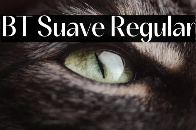 BT Suave Regular Example 2