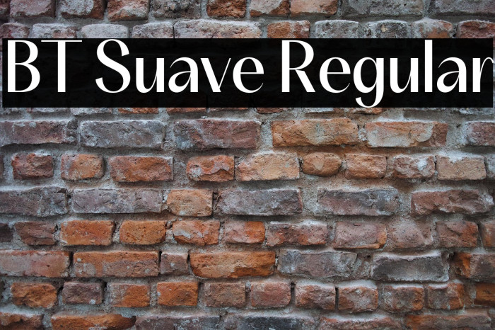 BT Suave Regular Example 3