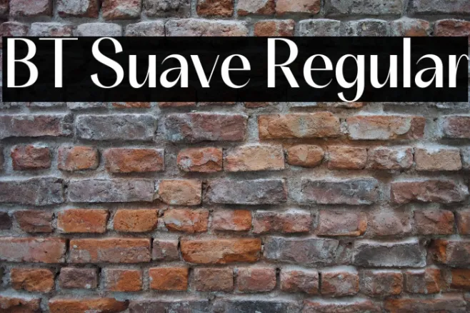 BT Suave Regular Example 3