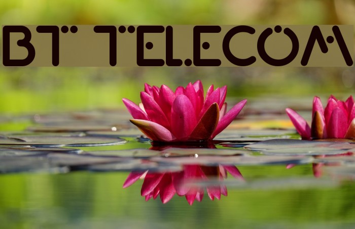 BT Telecom Font examples