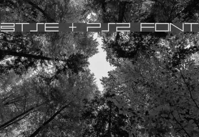 BTSE + PS2 FONT Font examples