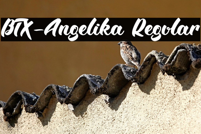 BTX-Angelika Regular Example 2