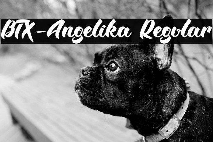 BTX-Angelika Regular Example 3