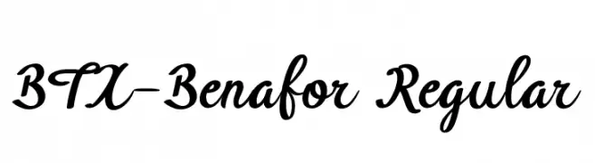 BTX-Benafor Regular 