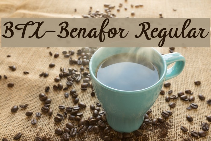 BTX-Benafor Regular Font examples