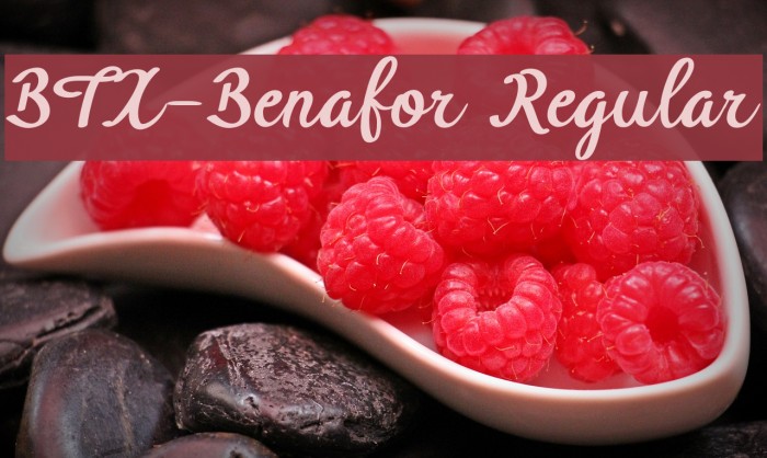 BTX-Benafor Regular Font examples