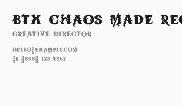 BTX-Chaos-Made Regular Business Card
