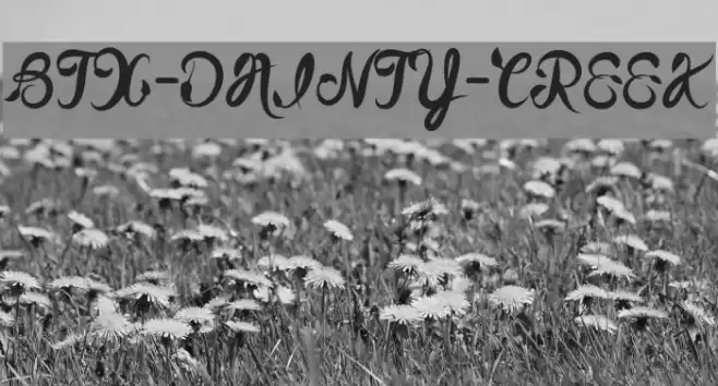 BTX-DAINTY-CREEK Font examples