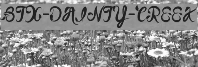 BTX-DAINTY-CREEK Font examples