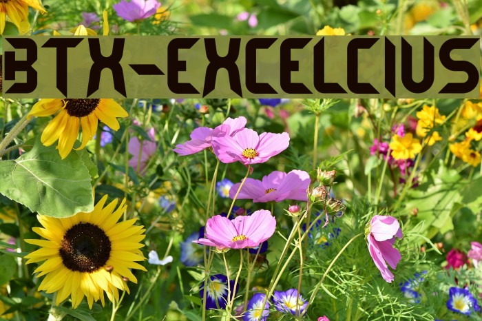 BTX-EXCELCIUS Font examples