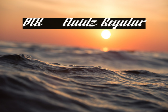 BTX-Fluidz Regular Example 2