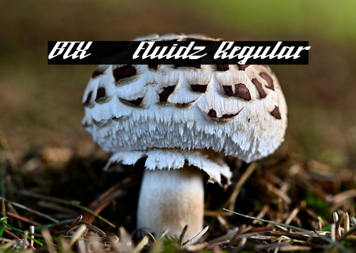 BTX-Fluidz Regular Example 3