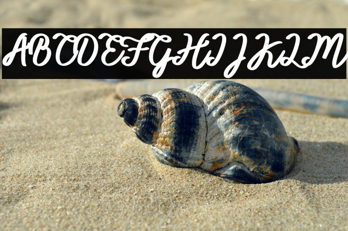 BTX-ITTALLY Regular Example 2