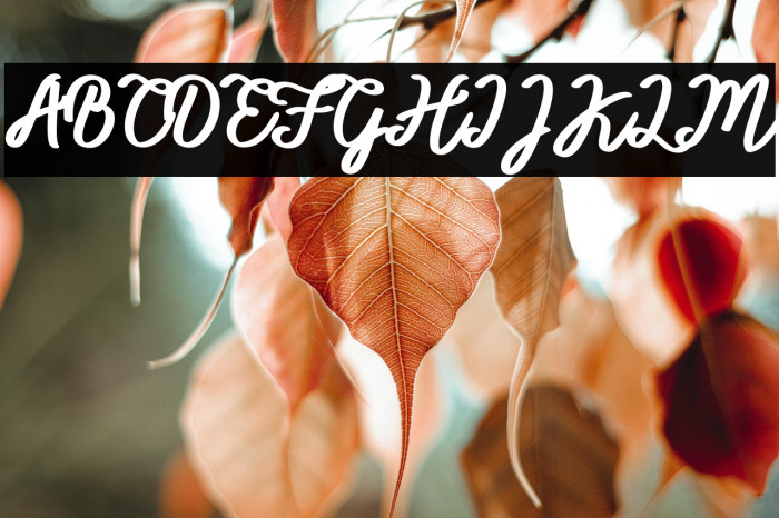 BTX-ITTALLY Regular Example 3