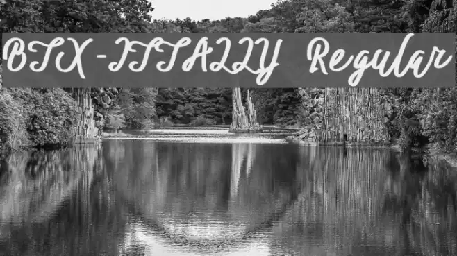 BTX-ITTALLY Regular Font examples