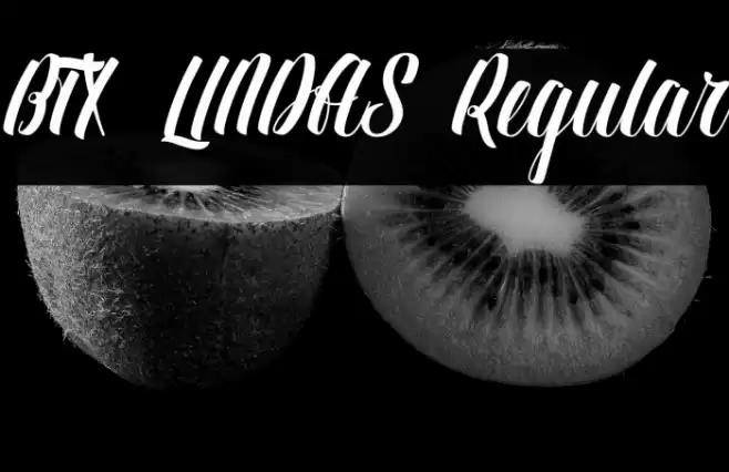 BTX-LINDAS Regular Font examples