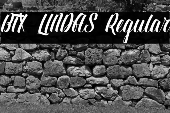 BTX-LINDAS Regular Font examples