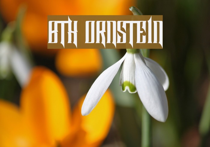 BTX ORNSTEIN Font examples