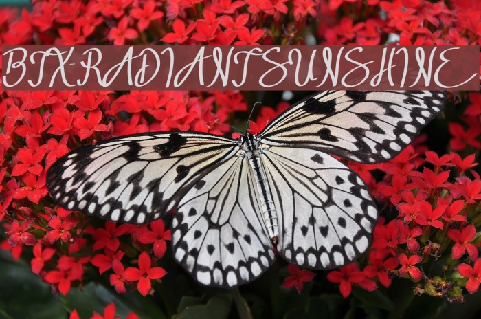 BTX-RADIANT SUNSHINE Font examples