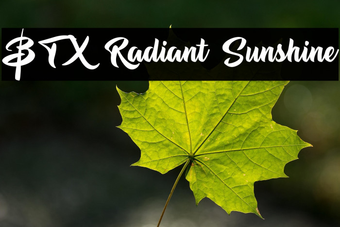 BTX Radiant Sunshine Example 1