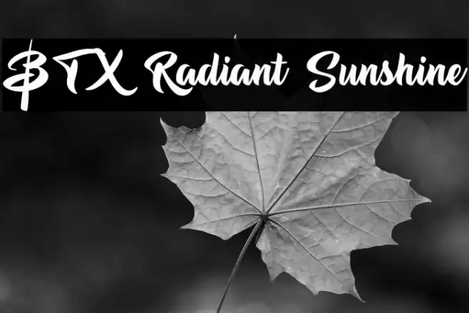 BTX Radiant Sunshine Font examples